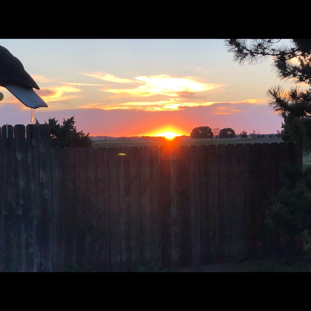 Meet your Posher, Maddie